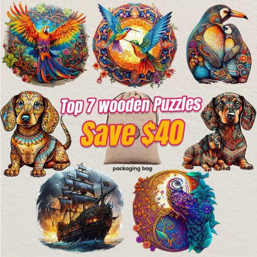 2023 Top 7 Wooden Puzzles Bundle in One Package-Woodbests