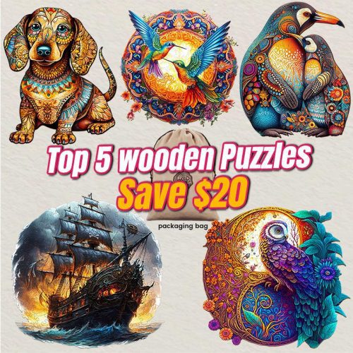 2023 Top 5 Wooden Puzzles Bundle in One Package-Woodbests