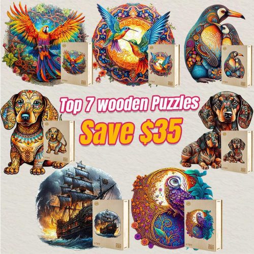 2023 Top 7 Wooden Puzzles Bundle in One Package-Woodbests