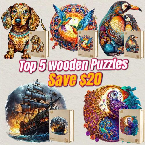 2023 Top 5 Wooden Puzzles Bundle in One Package-Woodbests