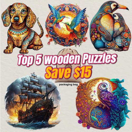 2023 Top 5 Wooden Puzzles Bundle in One Package-Woodbests