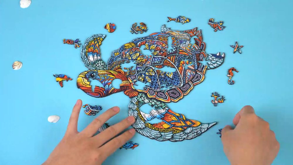 resolute turtle puzzle